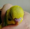 IMG_20201022_100140.jpg