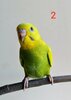 IMG_20201025_123740.jpg
