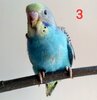 IMG_20201025_123806.jpg