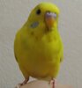 IMG_20201023_174557.jpg