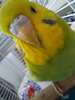 20201027_111546.jpg