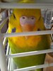 20201027_110535.jpg