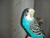 IMG_20201027_181459.jpg