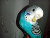 IMG_20201027_181512.jpg
