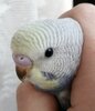 IMG_20201027_152318.jpg