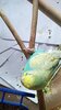 IMG_20201030_102026.jpg