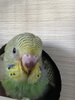 IMG_20201104_100948.jpg