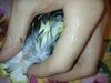 IMG_20201110_173318.jpg