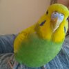 20201112_133620.jpg