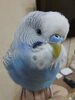 20201116_174731.jpg