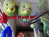 IMG_20201117_170120.jpg