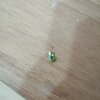 IMG_20201118_162425.jpg