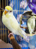 InShot_20201124_010935347.jpg