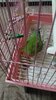 IMG_20201125_210758.jpg