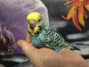 IMG_20201203_194332.jpg