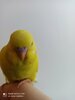 IMG_20201204_133025.jpg