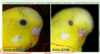 upload_2020-12-4_12-4-16.png