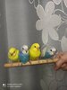 IMG_20201125_203941.jpg
