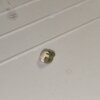 IMG_20201204_173523.jpg