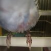IMG_20201204_180239.jpg
