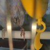 IMG_20201205_141951.jpg