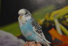 CSC_0561.JPG