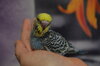 DSC_0492.JPG