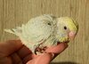 DSC_0482.JPG