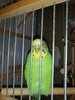 IMG-20201210-WA0000.jpg