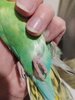 IMG_20201212_002438.jpg