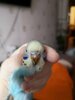 IMG_20201213_161646.jpg
