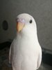 IMG_20201213_130749.jpg