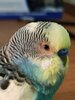 IMG_20201214_212445.jpg