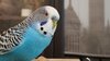 20201212_145126.jpg
