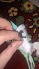 IMG_20201215_075358.jpg