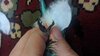 IMG_20201215_075721.jpg