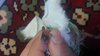IMG_20201215_075814.jpg