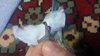 IMG_20201215_075840.jpg