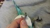 IMG_20201215_080156.jpg