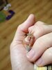 IMG_20201217_213320.jpg