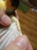 IMG_20201217_213219.jpg