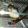 IMG_20201218_091529.jpg