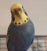 IMG_20201218_102358.jpg