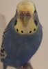 IMG_20201218_102227.jpg