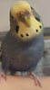 IMG_20201218_101805.jpg