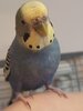 IMG_20201218_101540.jpg