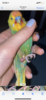 36351E0F-BB3F-42E9-81DF-D1FA5E1E2246.png