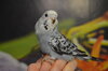 DSC_0422.JPG