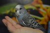 DSC_0561.JPG