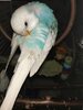 IMG_20201224_182732.jpg